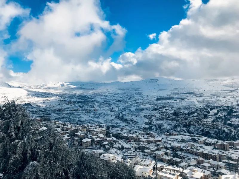 Roots With a Deed: Why Syrian-Lebanese Americans Are Buying Land Back Home